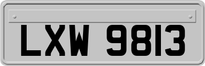 LXW9813