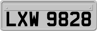 LXW9828