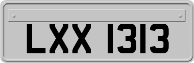 LXX1313
