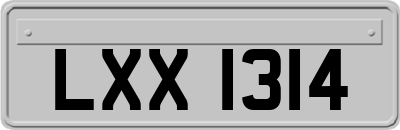 LXX1314