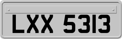 LXX5313