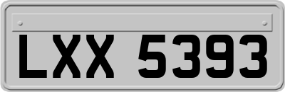 LXX5393