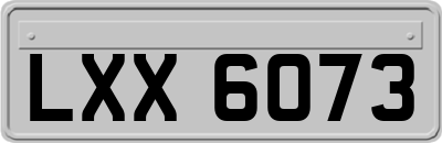 LXX6073