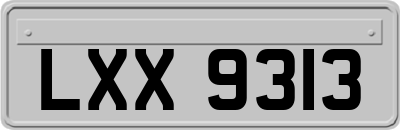 LXX9313