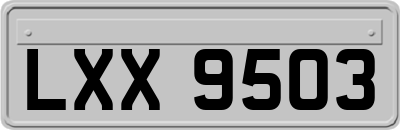 LXX9503