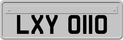 LXY0110