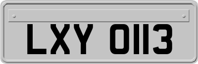 LXY0113
