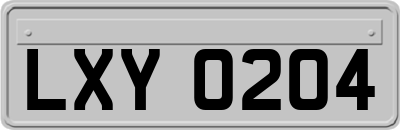 LXY0204