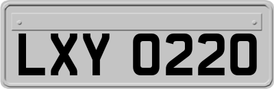LXY0220