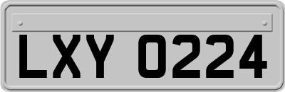 LXY0224