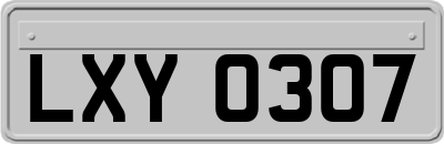 LXY0307