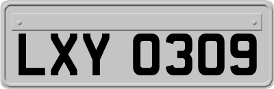 LXY0309