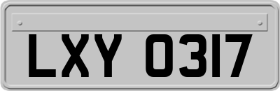 LXY0317