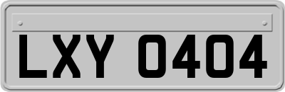LXY0404