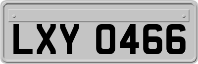 LXY0466