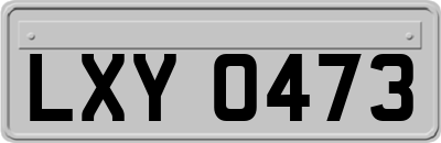 LXY0473