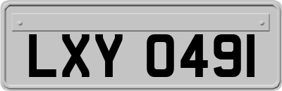 LXY0491