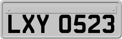 LXY0523