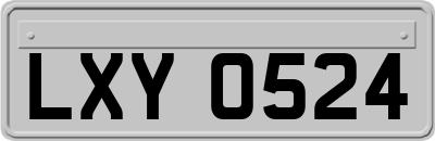 LXY0524
