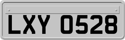 LXY0528