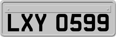 LXY0599
