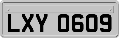 LXY0609
