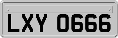 LXY0666