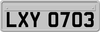 LXY0703