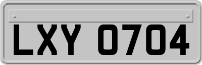 LXY0704