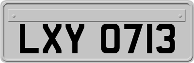 LXY0713