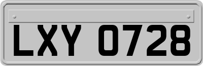 LXY0728