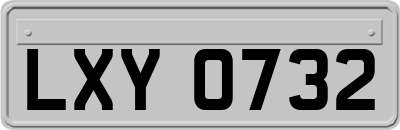LXY0732