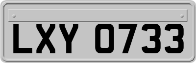 LXY0733