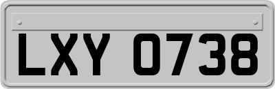 LXY0738