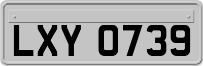 LXY0739