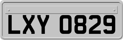 LXY0829