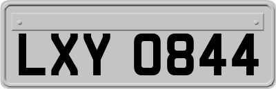 LXY0844