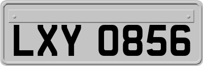 LXY0856
