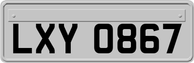 LXY0867