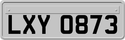 LXY0873