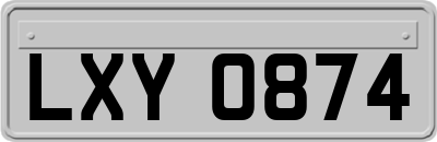 LXY0874