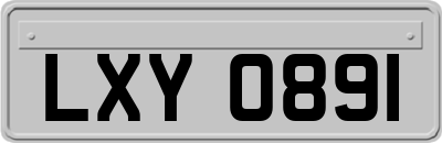 LXY0891