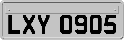 LXY0905