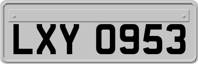LXY0953