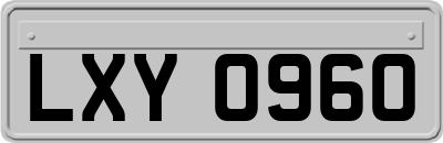 LXY0960
