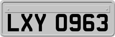 LXY0963