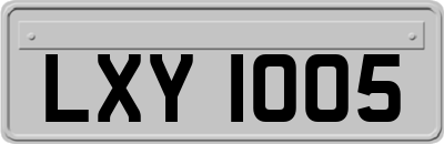 LXY1005