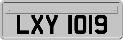 LXY1019