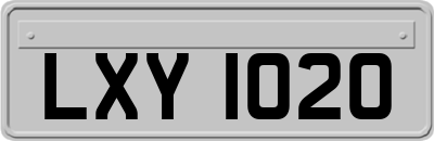 LXY1020