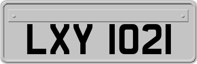 LXY1021